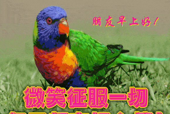 人善被人欺马善被人骑的名句【人善被人欺马善被人骑的说说】