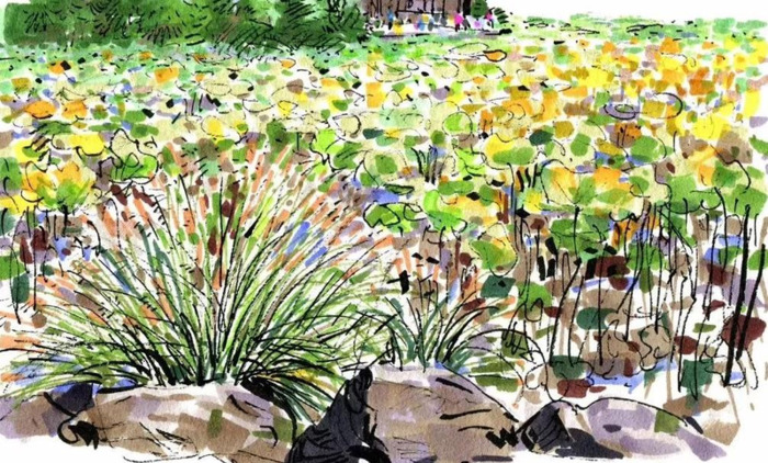 吴冠英老师微博【吴冠英的画】