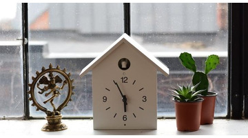 珍惜时间的演讲稿800字【珍惜时间的演讲稿500字】