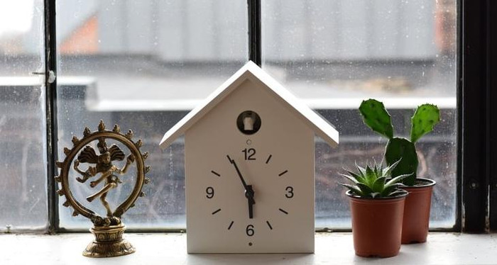 珍惜时间的演讲稿800字【珍惜时间的演讲稿500字】