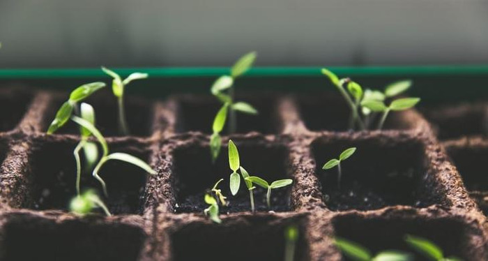 珍惜时间的演讲稿800字【珍惜时间的演讲稿500字】