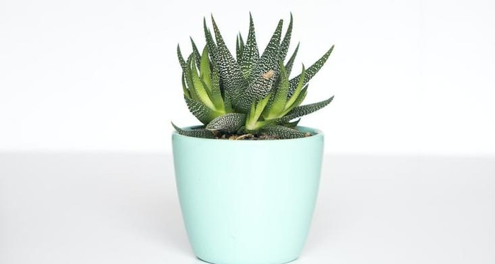 珍惜时间的演讲稿800字【珍惜时间的演讲稿500字】