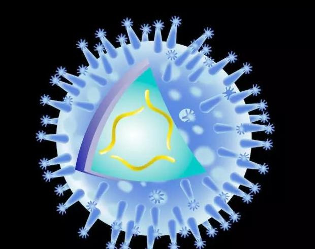 燕窝营养价值与功效【燕窝的成分与功效】