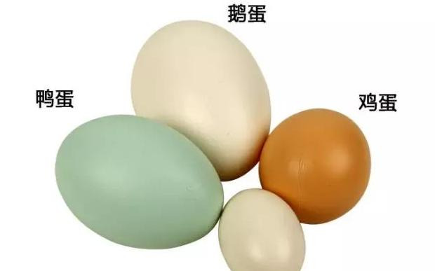 燕窝营养价值与功效【燕窝的成分与功效】