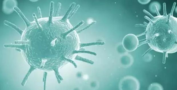 燕窝营养价值与功效【燕窝的成分与功效】