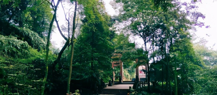 四川峨眉山旅游攻略一日游【峨眉山旅游攻略一日游图片】