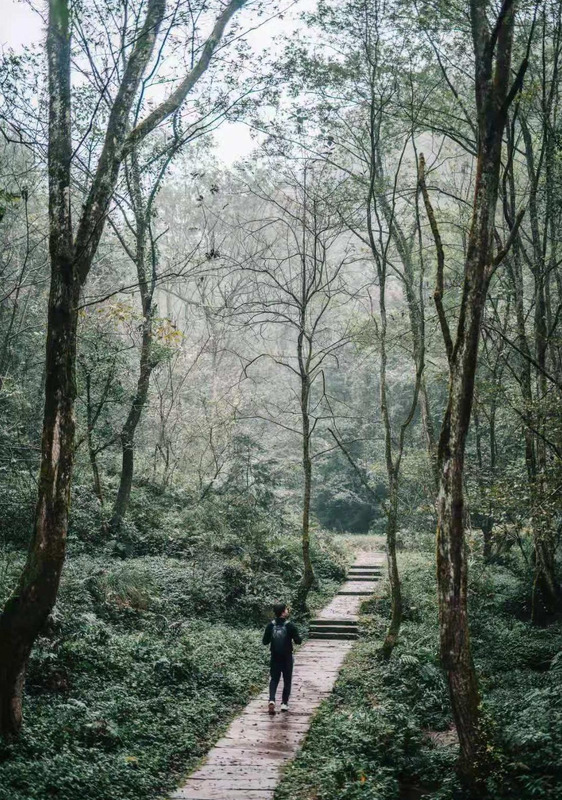 四川峨眉山旅游攻略一日游【峨眉山旅游攻略一日游图片】