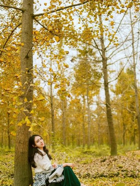 初一作文600字优秀作文大全秋天【初一作文600字优秀作文大全写事】