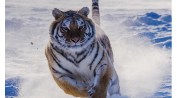 运动说说适合发朋友圈说说【运动说说适合发朋友圈,跑步,天气】