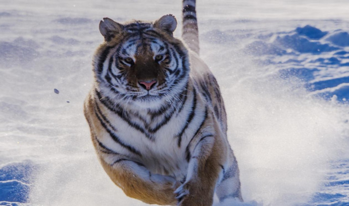 运动说说适合发朋友圈说说【运动说说适合发朋友圈,跑步,天气】