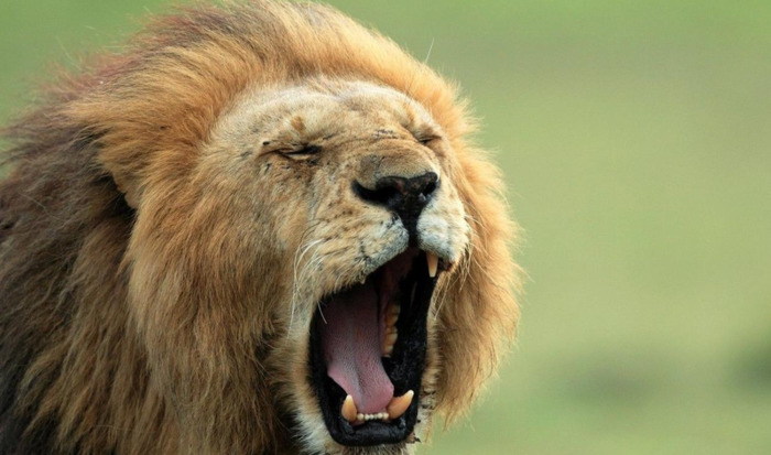 运动说说适合发朋友圈说说【运动说说适合发朋友圈,跑步,天气】