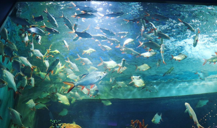 运动说说适合发朋友圈说说【运动说说适合发朋友圈,跑步,天气】