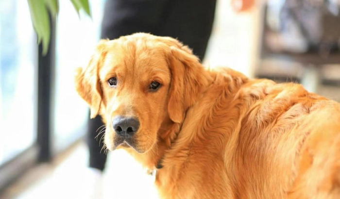 运动说说适合发朋友圈说说【运动说说适合发朋友圈,跑步,天气】