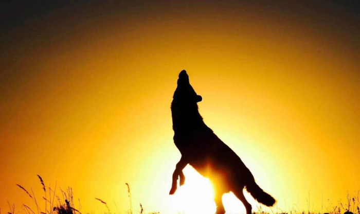 运动说说适合发朋友圈说说【运动说说适合发朋友圈,跑步,天气】