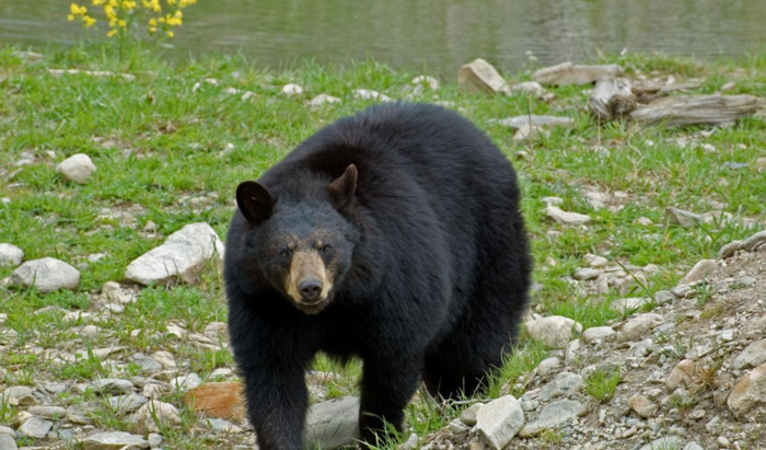 运动说说适合发朋友圈说说【运动说说适合发朋友圈,跑步,天气】