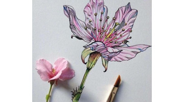 慢时光静生活唯美句子图片【慢时光静生活唯美句子英文】