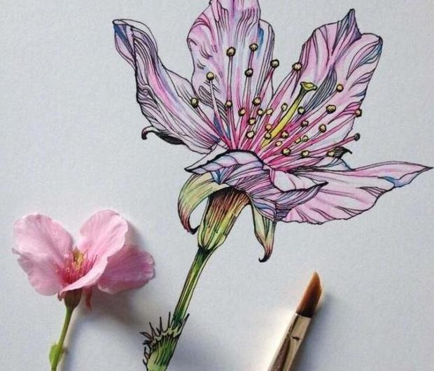 慢时光静生活唯美句子图片【慢时光静生活唯美句子英文】