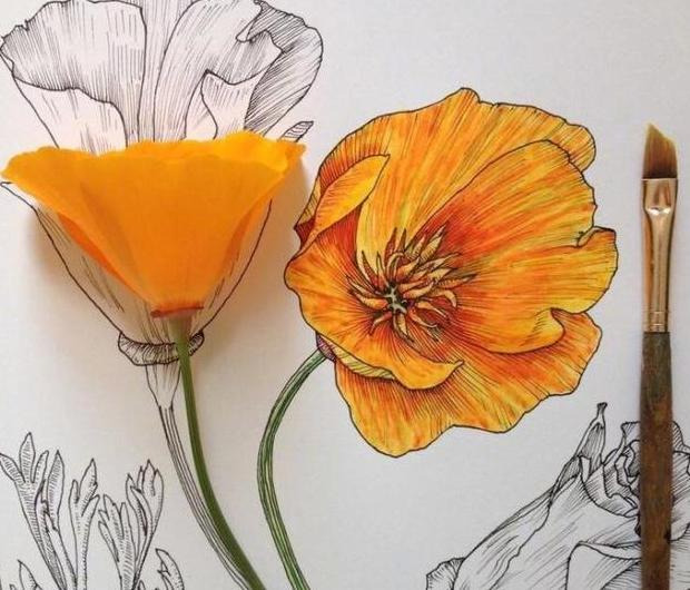 慢时光静生活唯美句子图片【慢时光静生活唯美句子英文】