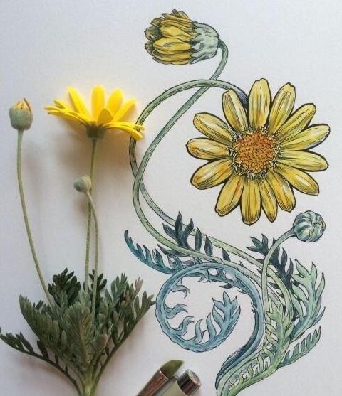 慢时光静生活唯美句子图片【慢时光静生活唯美句子英文】