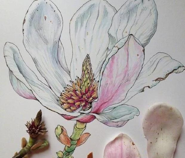 慢时光静生活唯美句子图片【慢时光静生活唯美句子英文】