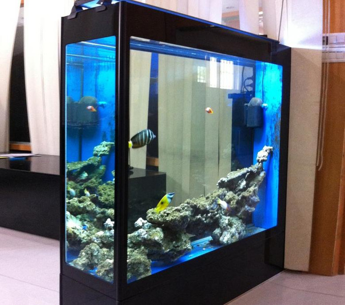 鱼缸的设计图【鱼缸图案设计】