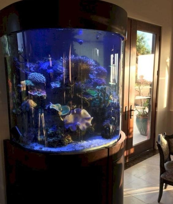 鱼缸的设计图【鱼缸图案设计】