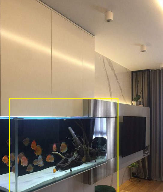 鱼缸的设计图【鱼缸图案设计】
