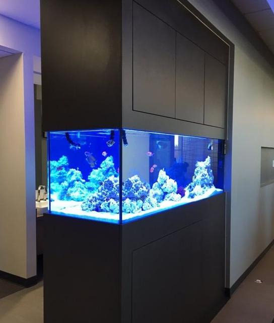 鱼缸的设计图【鱼缸图案设计】