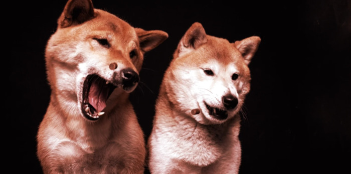 狗狗币现在的价格是多少【狗狗币现在最新价格】