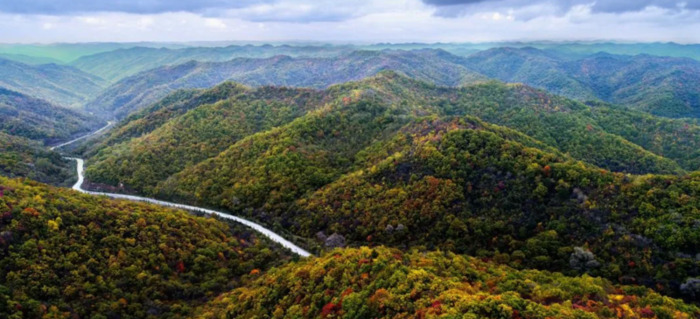 环保主题演讲稿【环保主题作文】