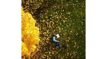 秋天是弯弯的谷穗金黄金黄的秋天是圆圆的苹果仿写句子【秋天是圆圆的苹果通红通红的模仿写句子】