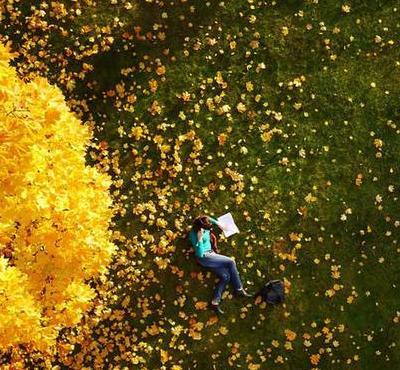 秋天是弯弯的谷穗金黄金黄的秋天是圆圆的苹果仿写句子【秋天是圆圆的苹果通红通红的模仿写句子】