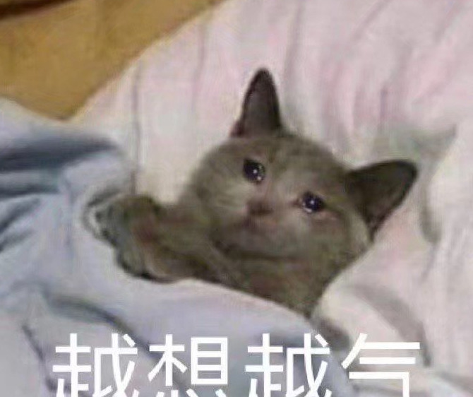 啊对对对对对表情包【啊对对对,桥洞底下盖小被儿原文】