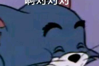 啊对对对对对表情包【啊对对对,桥洞底下盖小被儿原文】