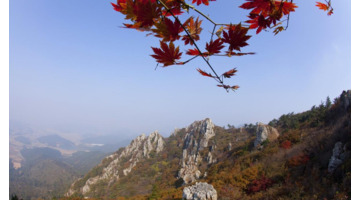 关于立冬的名句【有关立冬的话】