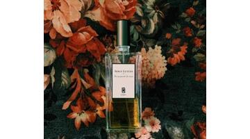 很让人惊艳的香水文案【香水的优美文案】