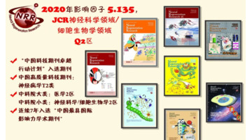 qrt-pcr原理【qrt-pcr和rt-qpcr区别】