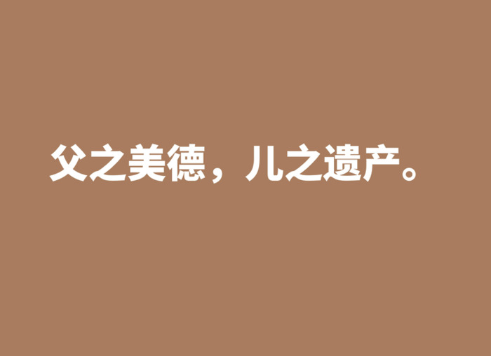 关于父亲的语录【我的父亲经典语录】