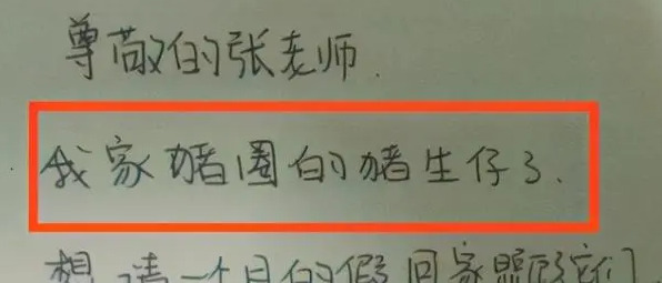 100种请假不被拒绝的理由学生【100种请假不被拒绝的两个人】