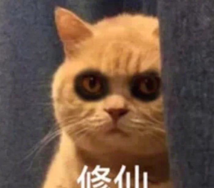 看孩子熬夜的朋友圈说说心情短语【熬夜的朋友圈说说心情短语搞笑】