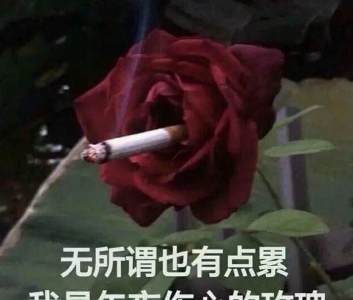 看孩子熬夜的朋友圈说说心情短语【熬夜的朋友圈说说心情短语搞笑】