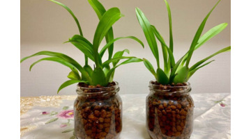 临沂哪里有卖陶粒的【山东陶粒厂】