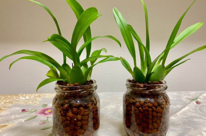 临沂哪里有卖陶粒的【山东陶粒厂】