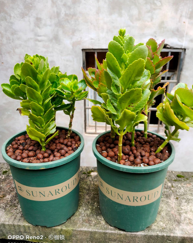 临沂哪里有卖陶粒的【山东陶粒厂】