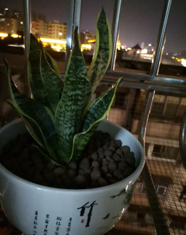 临沂哪里有卖陶粒的【山东陶粒厂】