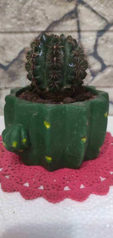 临沂哪里有卖陶粒的【山东陶粒厂】