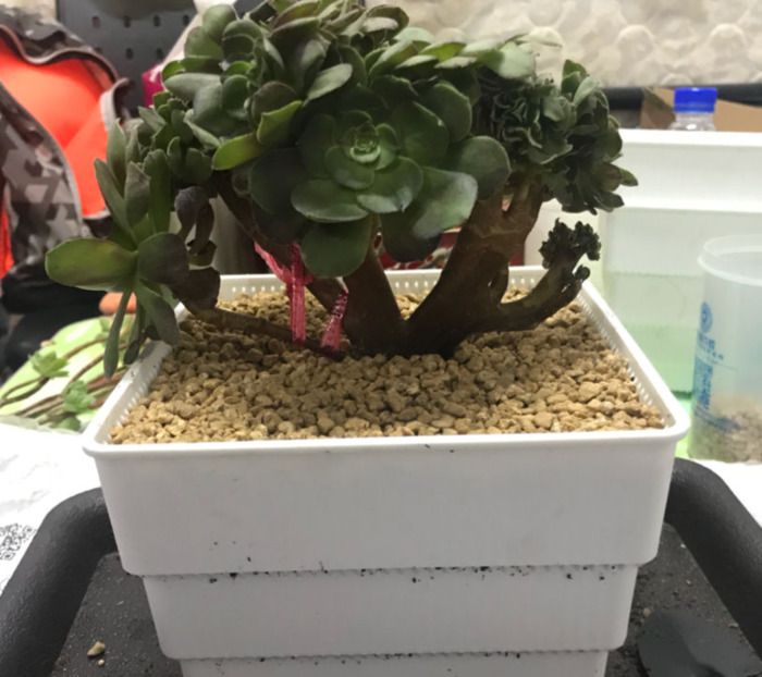 临沂哪里有卖陶粒的【山东陶粒厂】