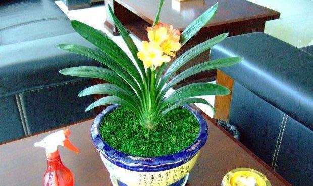 临沂哪里有卖陶粒的【山东陶粒厂】