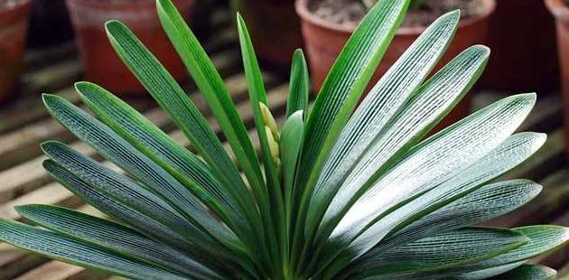 临沂哪里有卖陶粒的【山东陶粒厂】