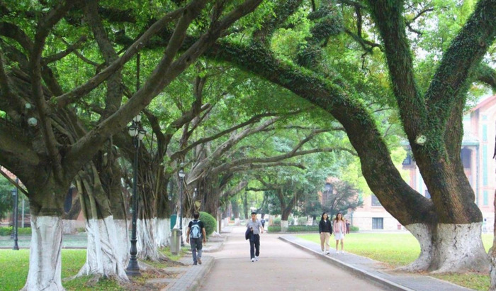 中央民族大学简称名单这种说法对吗【中央民族大学简称字母】